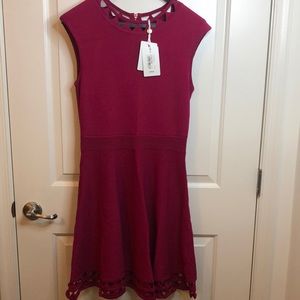 TED BAKER DRESS SIZE 10 NWT 👗